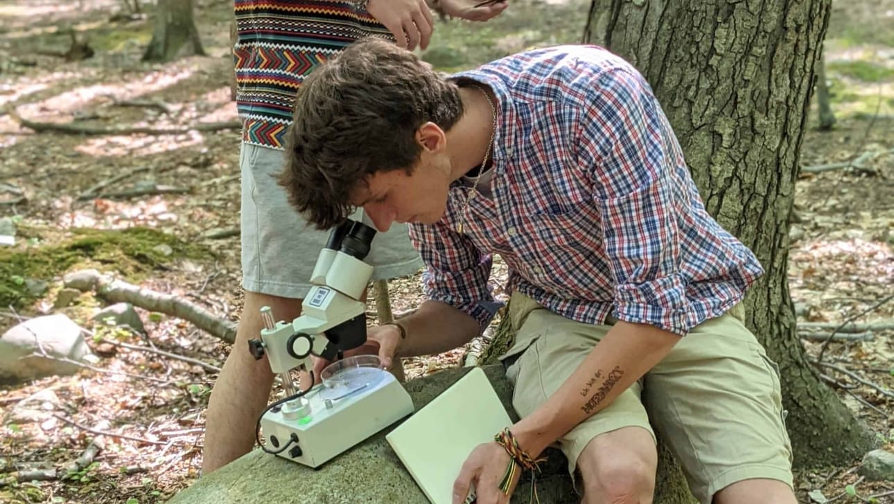 Boy looking into microscope.