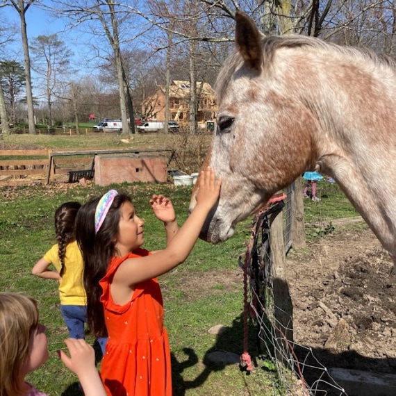 Girl petting horse.